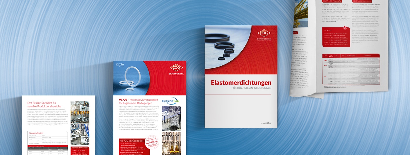 Übersicht Auswahl COG Broschüren Übersicht Auswahl COG Broschüren