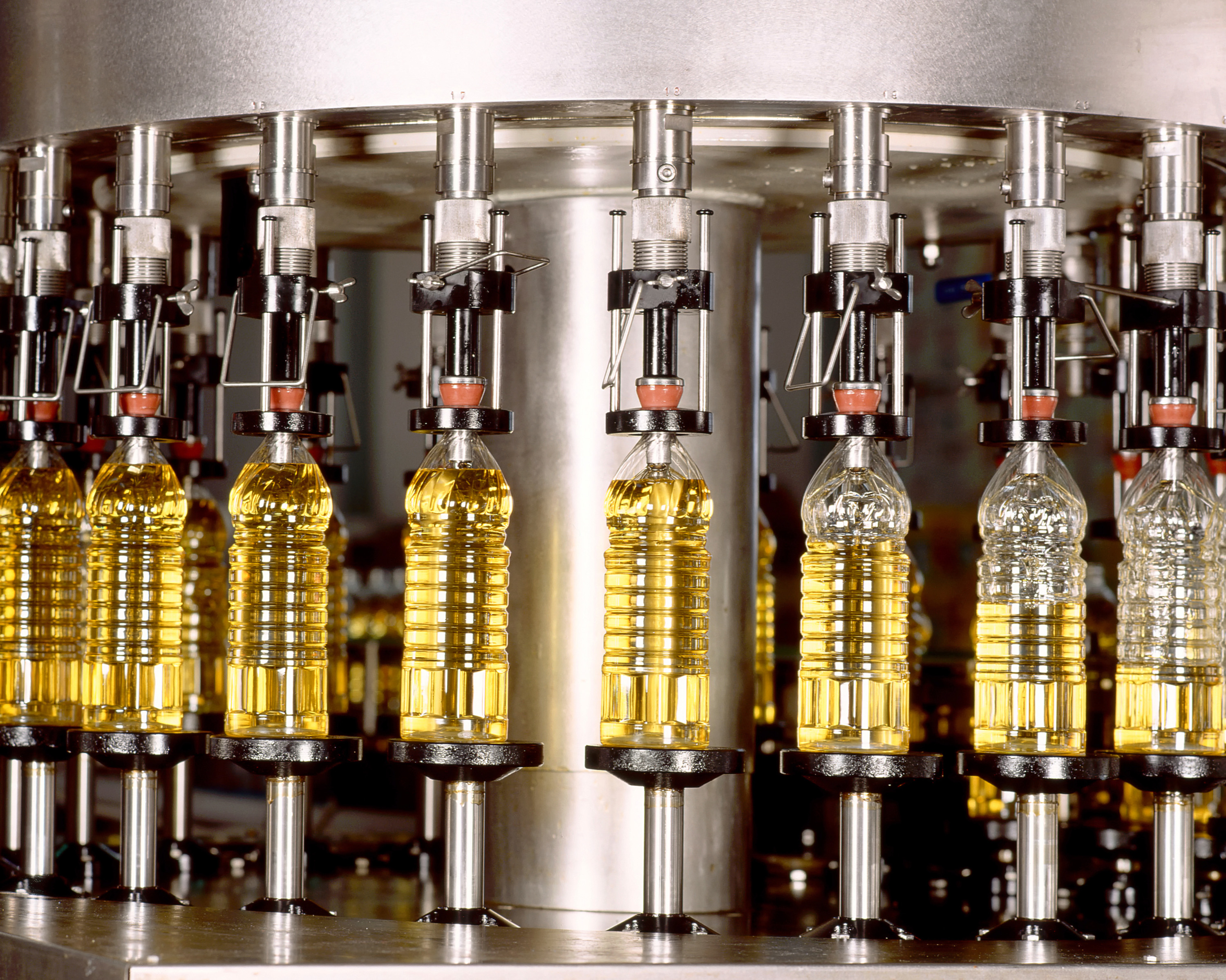 bottling plant oil